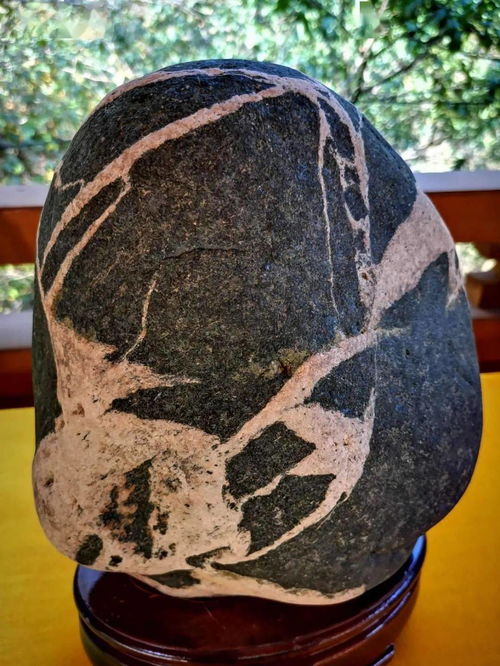 阜平縣第二屆雪浪石文化展 石韻天成，文蘊流傳